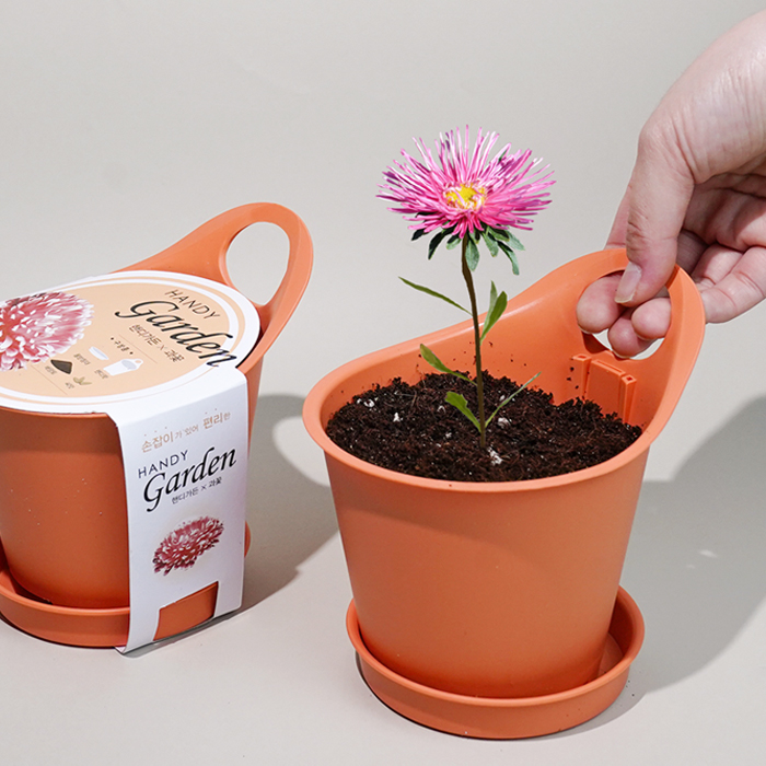 �ڵ𰡵�-����