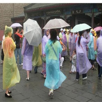 ��ȸ�� ����