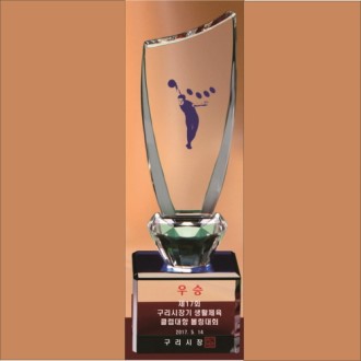 ũ����Ż Ʈ���� 243 (��) ����