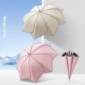 (Blossom) ����� ���ٸ�� �ڿܼ� ���� ���� 8K 1P